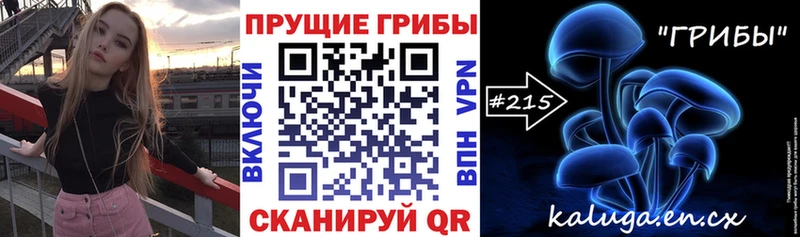 Псилоцибиновые грибы GOLDEN TEACHER  Прохладный 