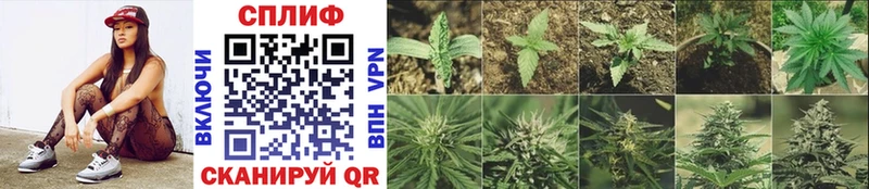 МАРИХУАНА Bruce Banner  ссылка на мегу вход  дарк нет наркотические препараты  продажа наркотиков  Прохладный 